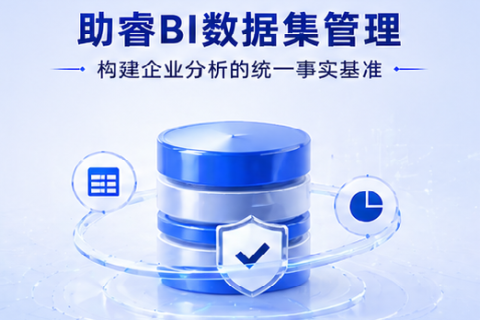 助睿BI数据集管理：构建企业分析的统一事实基准