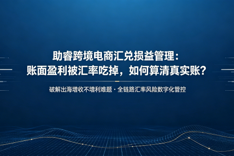 跨境店铺账面盈利，汇兑损失却吃掉利润——如何算清“出海”的真实账？